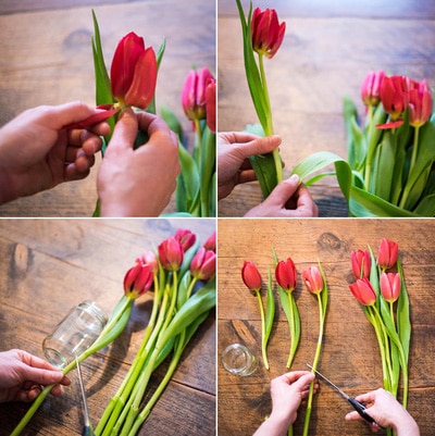 Cắt bỏ phần lá dư thừa giúp hoa lâu tàn 
